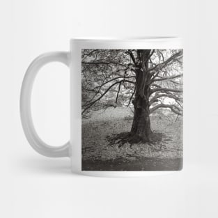 the stately tree, has released its leaves Mug
